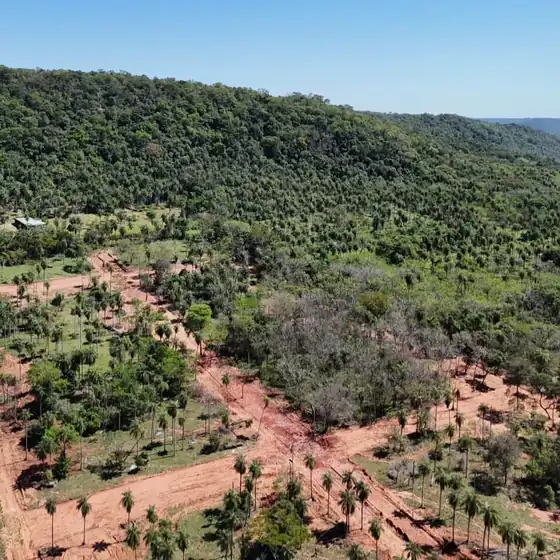 Vista aérea de un loteamiento abierto al pie de la serranía, con calles de tierra marcadas entre palmeras y monte